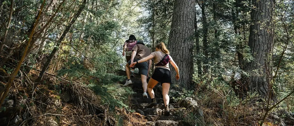 Two hikers wearing Duluth Pack backpacks walking up a rocky trail through a dense forest with tall trees and sunlight filtering through the foliage.