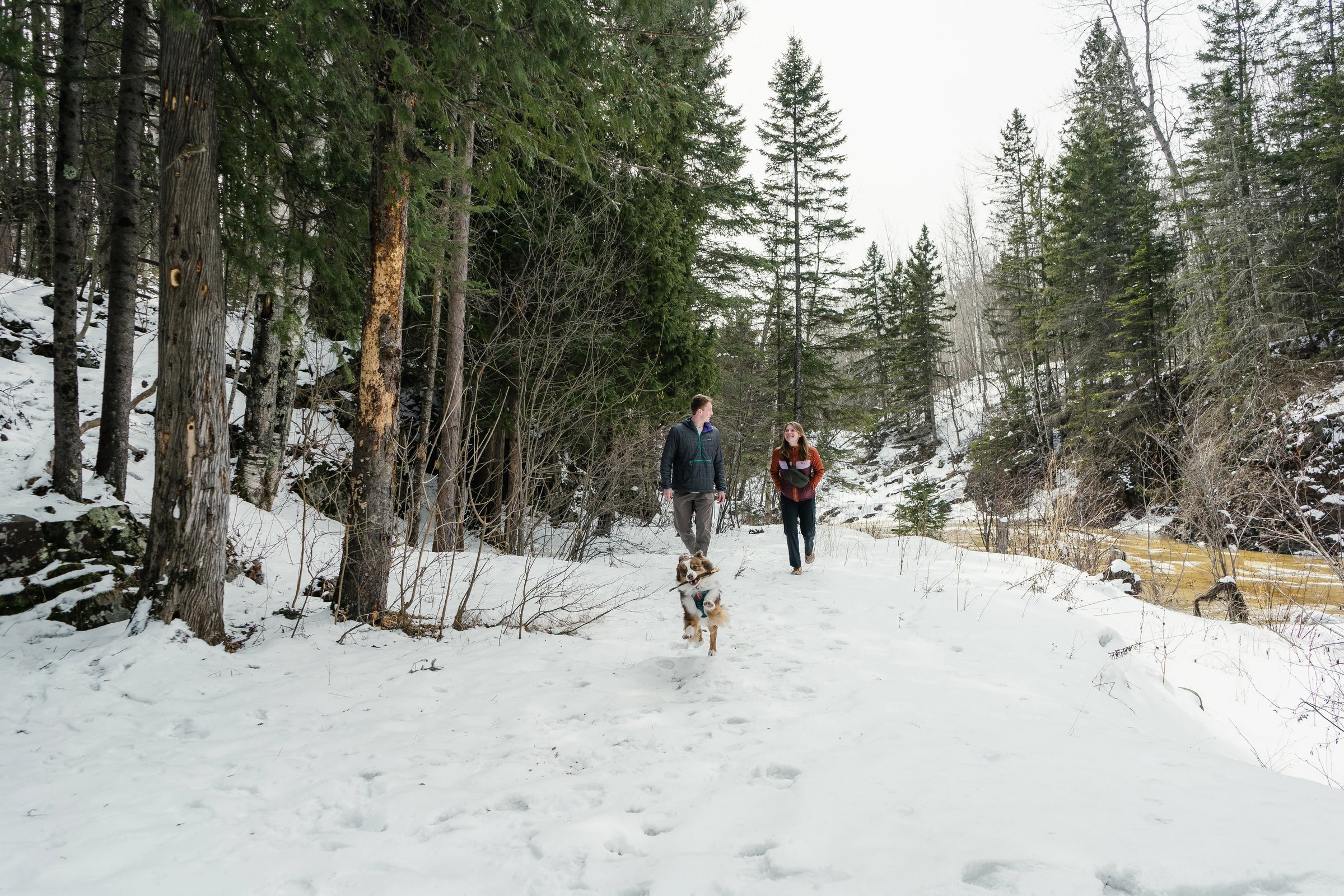 A man and woman walking with a dog on a snow-covered trail surrounded by evergreen trees in a forested outdoor setting.