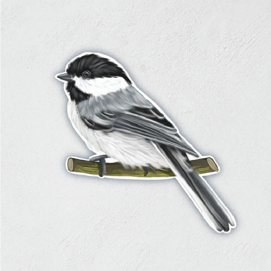 Sticker of a chickadee