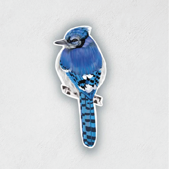Sticker of a bluejay